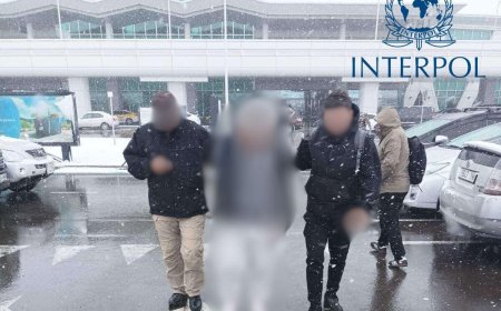 Мал хулгайлсан хэрэгтэнг ИНТЕРПОЛЫН “УЛААН БУЛАНТ” ЗАР МЭДЭЭГЭЭР ЭРЭН СУРВАЛЖЛАЖ авчирчээ