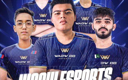 Пакистан улсын  шилдэг баг ААШТ-д Монголын "WAOW GG" компанийн нэрийн өмнөөс тоглохоор боллоо