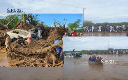 Кени улсад үерийн далан задарч 50 орчим хүн амиа алджээ