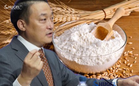 Гурилыг импортын татвараас чөлөөлөх тухай хууль өнөөдрөөс хэрэгжиж эхлэв