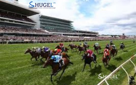 Монголын анхны холын зайн морин тойруулгын “Hipay Cup 24“ уралдаан эхлэхэд бэлэн болжээ