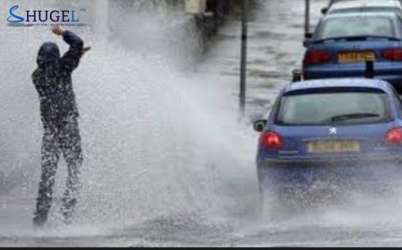 Явган зорчигч руу шавхай цацсан жолоочийг 100,000 төгрөгөөр торгоно