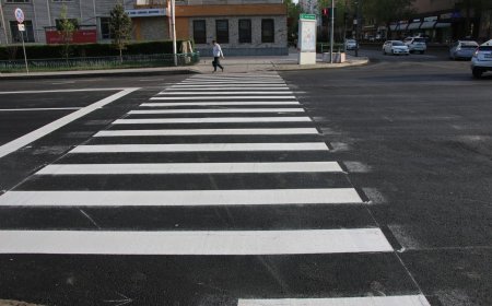 "Зоос гоёл”-ын тээврийн хэрэгслийн хөдөлгөөнийг нээлээ