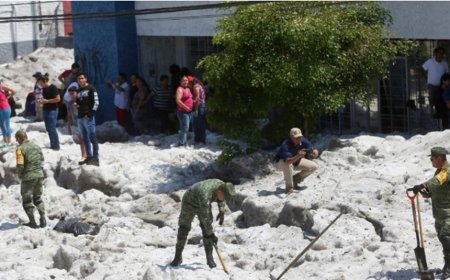 Мексикийн зарим хотод хэт халж, нарны хордлого болон шингэний дутагдалд орж 48 хүн амь насаа алджээ