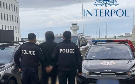 Интерполоор эрэн сурвалжилж байсан иргэнийг Турк улсаас авчирлаа