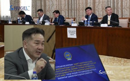 Ц.Цэрэнпунцаг: Би нэг талдаа эх оронч сэтгэл гаргаж энэ компанийн хувьцааг авсан