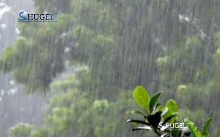 Улаанбаатарт  бага зэргийн аадар бороотой, 23 хэм дулаан