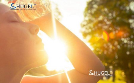 Маргааш нийслэлд 30 градус хүрч, хална