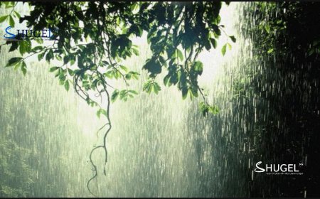 Төв, зүүн аймгуудын нутгийн зарим газраар дуу цахилгаантай аадар бороо орно