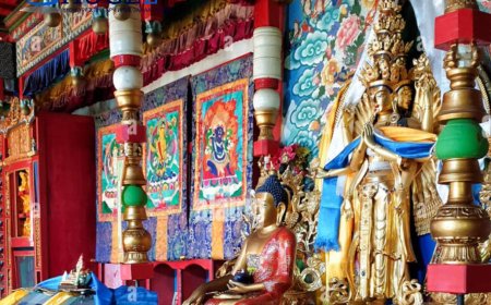 Найралт эх одтой, хөхөгчин могой өдөр, ДАШНЯМТАЙ ӨДӨР