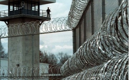 Төмөр замын ажилд оролцож буй хоригдлуудын хөдөлмөрийн аюулгүй байдал зөрчигдөж байна