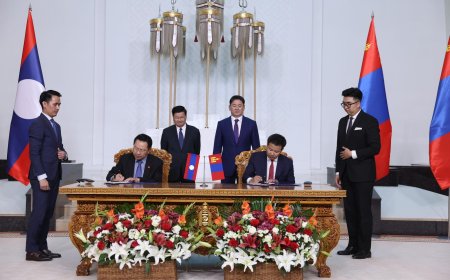 Лаос улсад үхэр, адуу, хонь, ямааны мах экспортолно