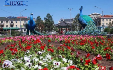 Улаанбаатарт  21 хэм дулаан