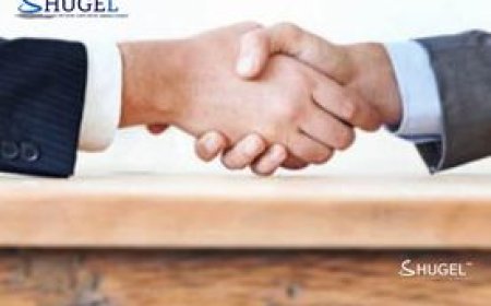 Япон, Умард Солонгосын төлөөлөгчид Монголд нууцаар уулзсан тухай Өмнөд Солонгосын хэвлэл мэдээлэв