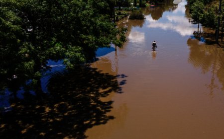 Дэлхийн дундаж температур 1.63 хэмээр сүүлийн 12 сард дулаарчээ