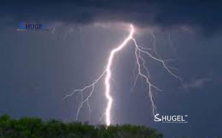 Аянганд цохиулж нас барсан эмэгтэй гар утсаа энгэртээ хийсэн байжээ