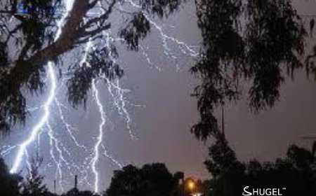 Аянга бууснаас  ойн түймэр  дэгдэж 1 га орчим талбай шатжээ