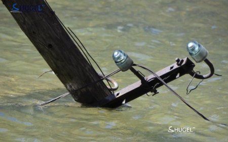 Улаанбаатар хотод усархаг, аадар бороо орох тул цахилгаанаас үүдэлтэй болзошгүй эрсдэлээс сэрэмжлүүлж байна