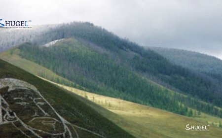 УЛААНБААТАРТ БОРООГҮЙ, 17 ХЭМ ДУЛААН БАЙНА