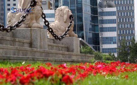 Улаанбаатарт өдөртөө 25 хэм дулаан