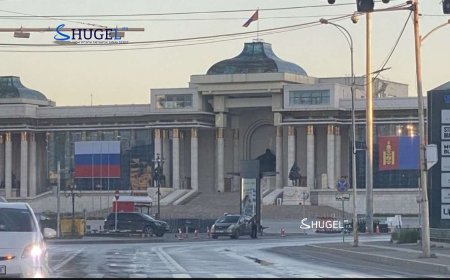 В.В.Путиныг эсэргүүцсэн хэмээн зургаан жагсагчийг саатууллаа