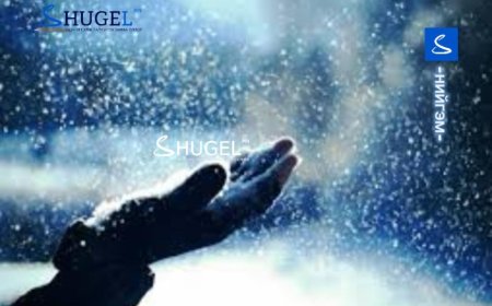 Зүүн аймгуудын нутгаар бороо, уулархаг нутгаар хур тунадас орно