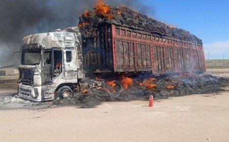 Өвс ачиж явсан автомашин цахилгааны шугамд хүрч, шатжээ