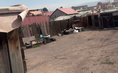 Модон жорлонд унасан ГУРВАН настай  охиныг эсэн мэнд гаргаж авчээ