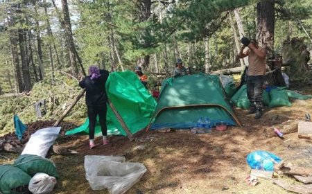 Богд ууланд самар түүж байсан 320 гаруй иргэнийг машин, тоног төхөөрөмжийн хамт буулгалаа