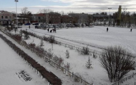 Завхан, Баянхонгор, Архангай аймгуудад цас оржээ