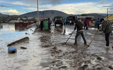 Дарь-Эх орчмын үерт өртсөн  иргэдэд ₮2.2 тэрбумын буцалтгүй тусламж олгожээ