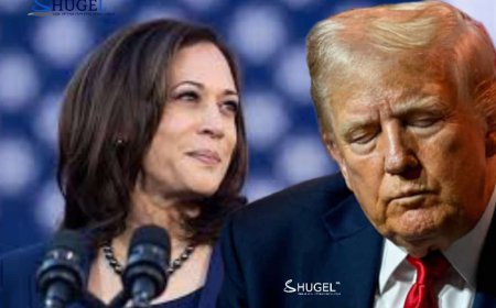 Халз мэтгэлцээнд Трамп ялагдсан гэж ажиглагч дүгнэв