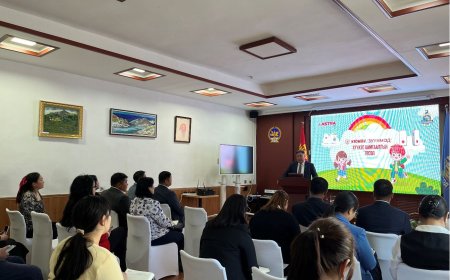Хүүхэд хамгааллын системийг Монголд анх удаа нэвтрүүллээ