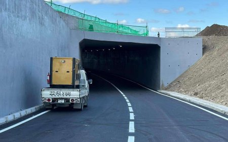 Ирэх онд Нарантуул захын дөрвөн замын уулзварт НҮХЭН ГАРЦ барина