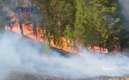 Хөвсгөлд гарсан ойн түймрийг бүрэн унтраалаа