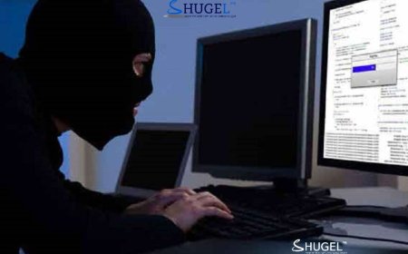 Татварын цахим тайлангийн системд халдсан хэрэг прокурорт шилжлээ