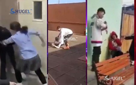 Бусдыг дээрэлхсэн хүүхдийг аав, ээжтэй нь хамт сургалтад хамруулдаг боллоо