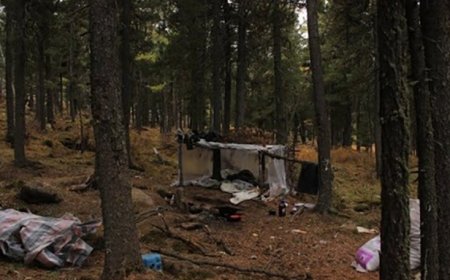 Самарт яваад сураггүй болсон эмэгтэйг хайж байна