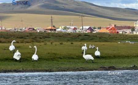 Улаанбаатарт хурд тундасгүй, 16 хэм дулаан