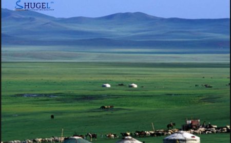 Малдаа яваад сураггүй болсон иргэнийг 7 дахь өдрөө хайж байна