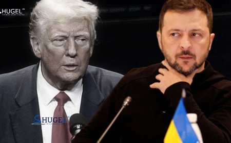 В.Зеленский өнөөдөр Д. Трамптай уулзана