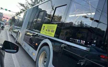 Шинэ урт автобуснуудын дараагийн ээлж, нийтийн тээврийн  М:1, М:2, М:3 чиглэлд үйлчилнэ