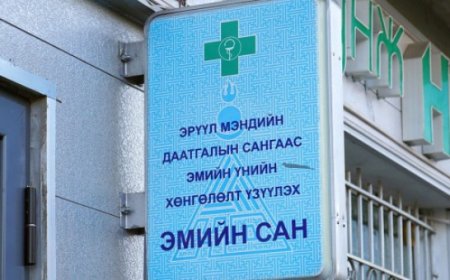 278 мянга гаруй иргэний ЭМД-ын шимтгэлийг төрөөс хариуцан төлжээ