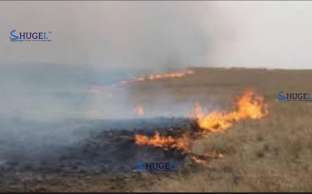 Гурван аймагт гарсан ой хээрийн түймэрт нийт 155 га талбай өртжээ