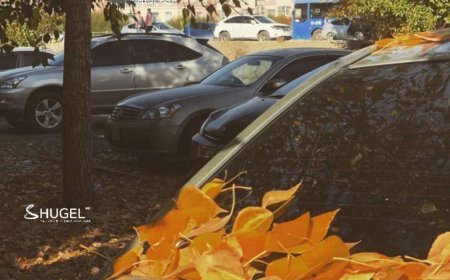 Улаанбаатарт хурд тундас орохгүй, 7 хэм дулаан