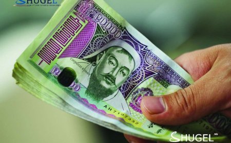 Саналаа өгөөгүй тохиолдолд 1072 хувьцааны ногдол ашиг  дансанд шууд шилжинэ