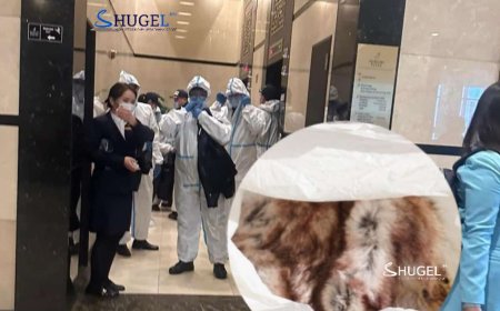 BLUE SKY-аас ууттай тарвага олдож мэргэжлийн байгууллагуудыг түргэн авахуулав