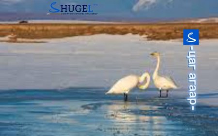 Нийт нутгаар дулаарна