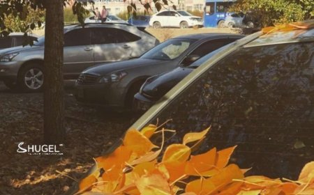 Улаанбаатарт  16 хэм дулаан