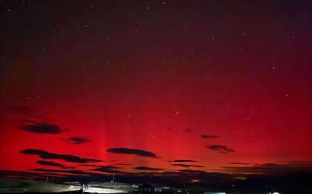 Туйлын туяа  энэ сарын аравнаас 11-нд буюу урьд шөнө Улаанбаатарт тод үзэгдэв